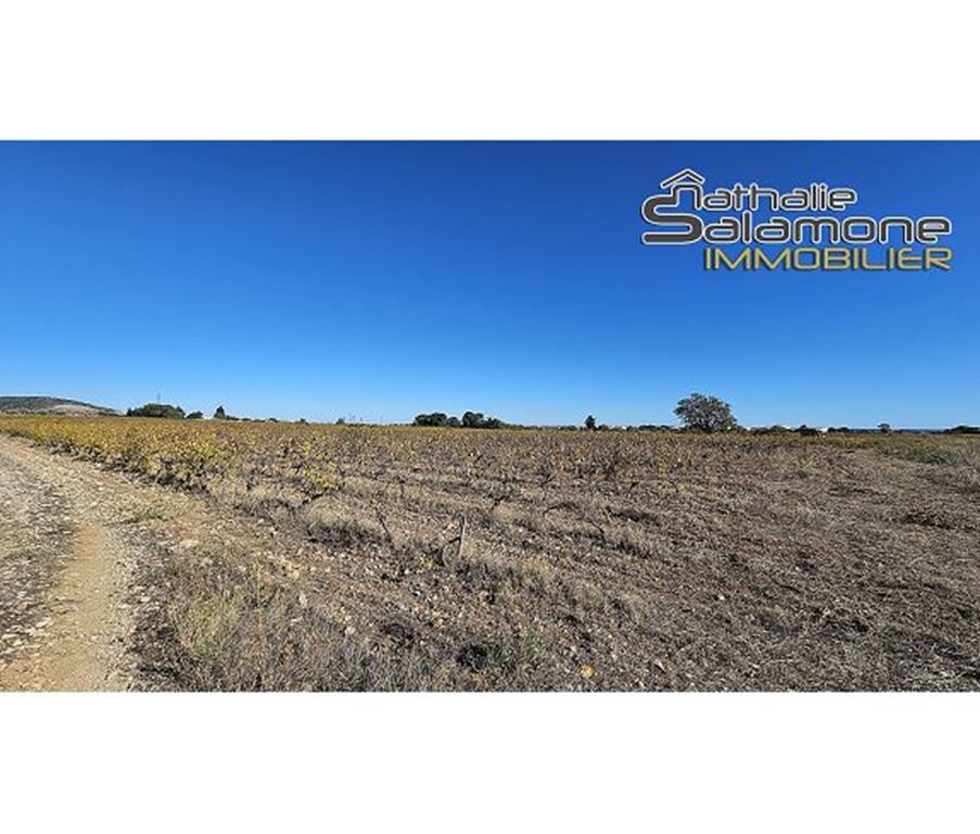 Terrain FRONTIGNAN (34110) Nathalie Salamone Immobilier