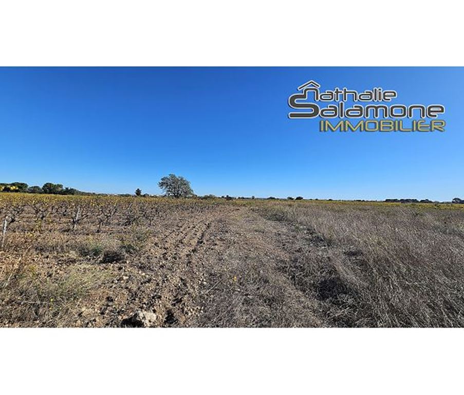 Terrain FRONTIGNAN (34110) Nathalie Salamone Immobilier