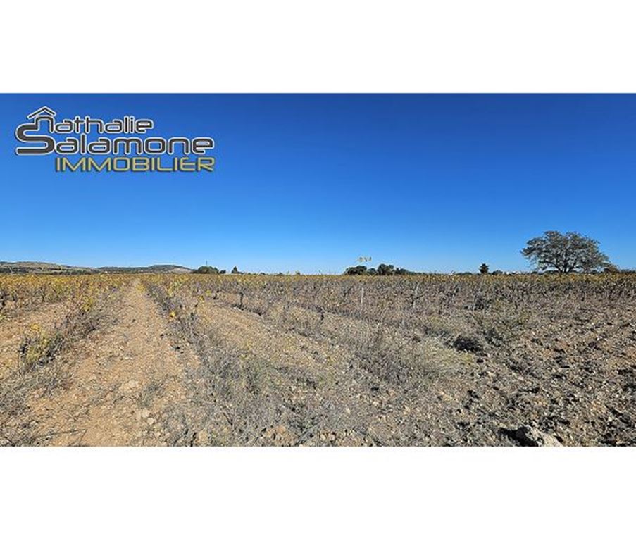Terrain FRONTIGNAN (34110) Nathalie Salamone Immobilier