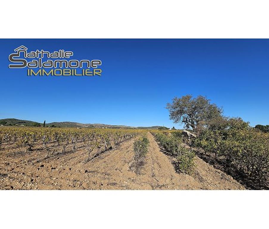 Terrain FRONTIGNAN (34110) Nathalie Salamone Immobilier