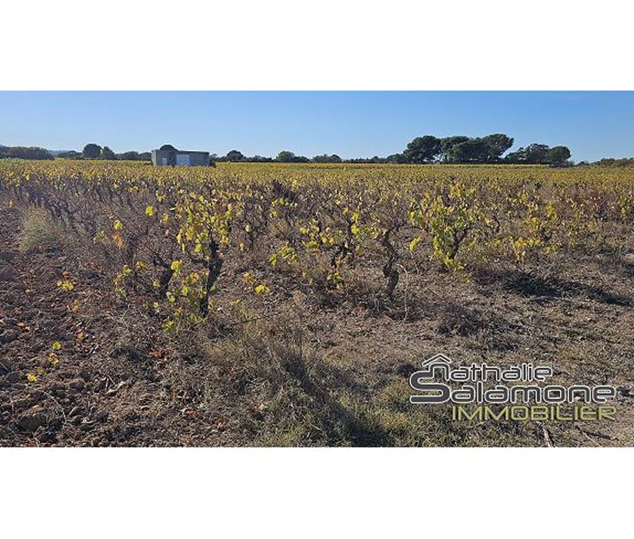 Terrain FRONTIGNAN (34110) Nathalie Salamone Immobilier