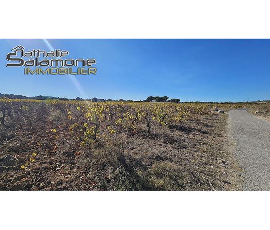 Terrain FRONTIGNAN (34110) Nathalie Salamone Immobilier
