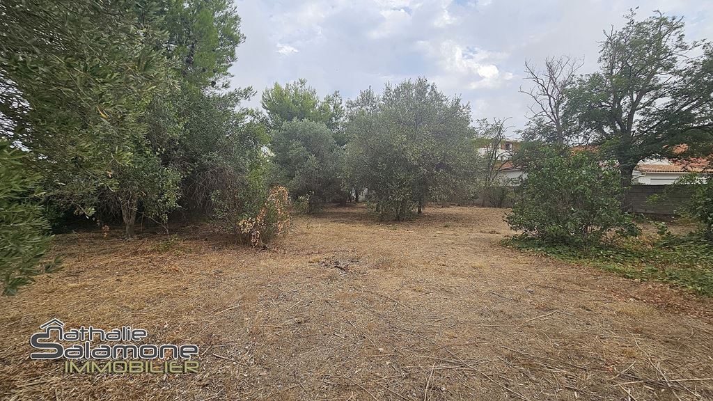 Terrain FRONTIGNAN (34110) Nathalie Salamone Immobilier