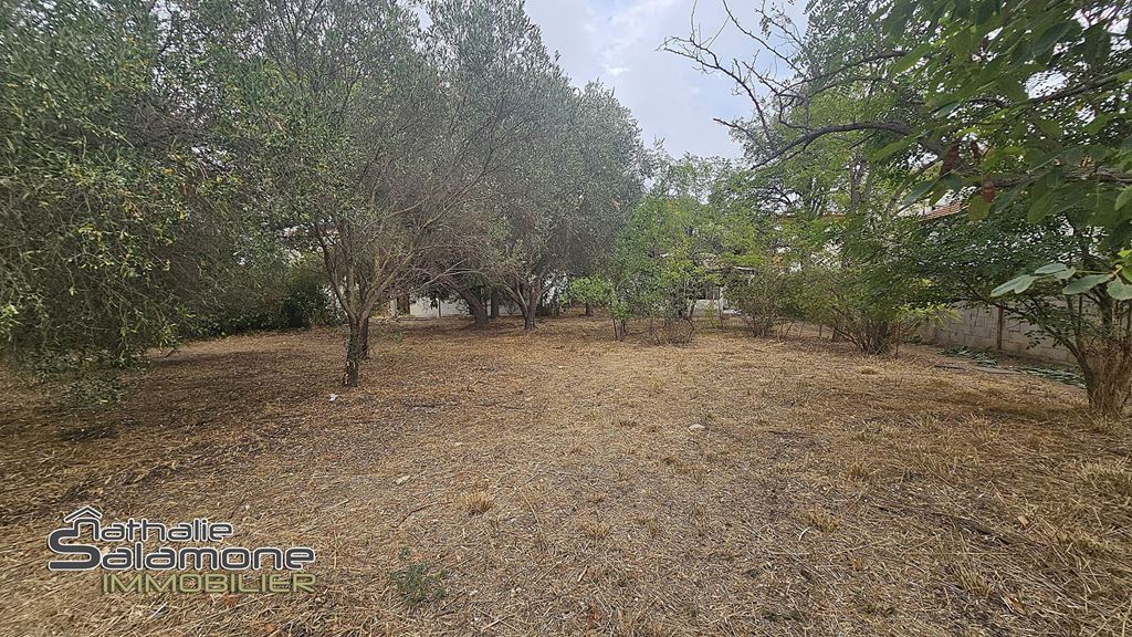 Terrain FRONTIGNAN (34110) Nathalie Salamone Immobilier